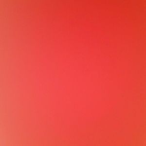 Meet your Posher, Rhonda